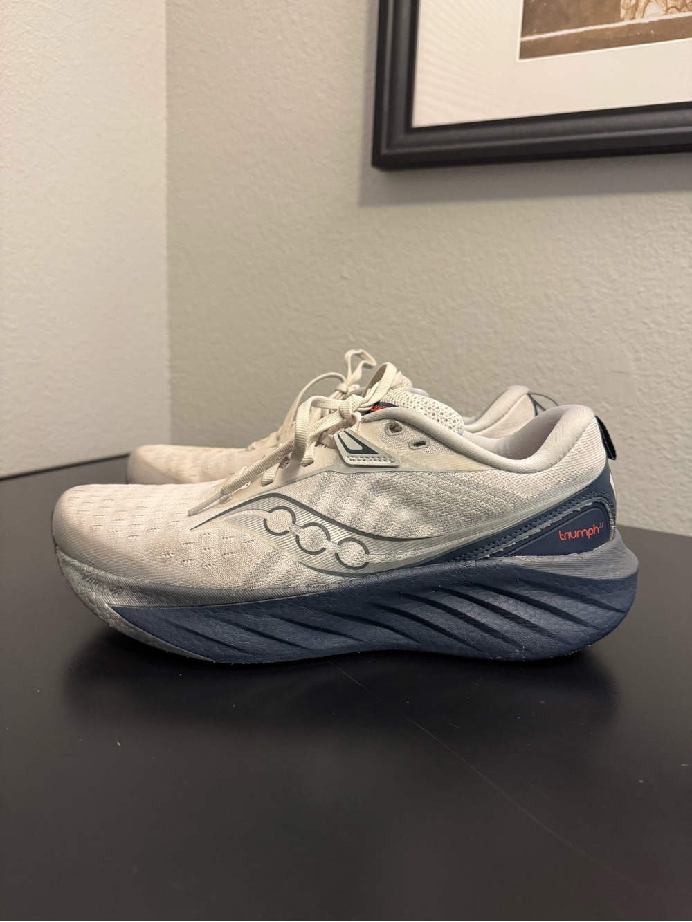 Saucony Triumph 22 Running Shoe